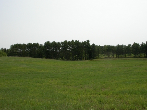 Luxury real estate and Country Homes for sale including horse farms and property in the Caledon and King City areas near Toronto